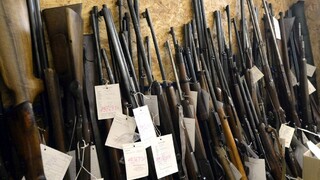 Vláda odobrila opozičný návrh, ide o zbraňovú amnestiu