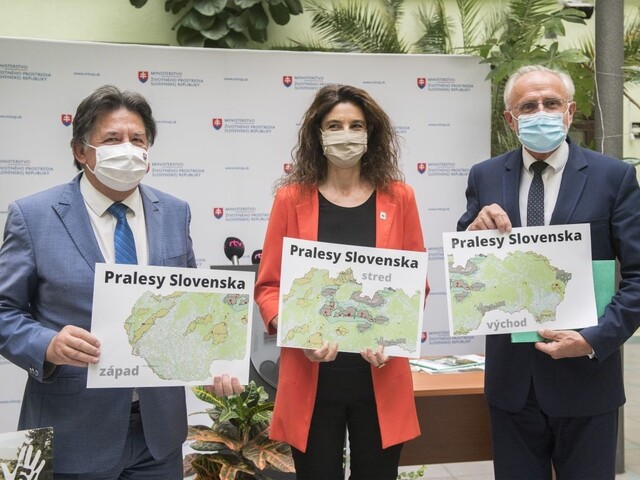 Pralesy môžu byť bezzásahové. Straty Štátnych lesov chcú kompenzovať