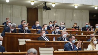 Rokovanie NR SR o zbraňovej amnestii i odoberaní titulov