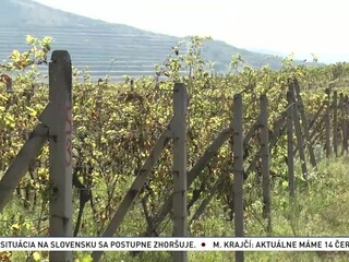 Nepoznané Slovensko: Tokaj