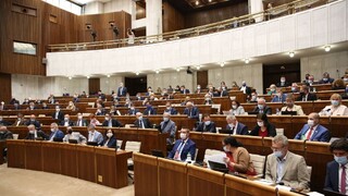 Rokovanie NR SR o odoberaní titulov či zmenách v oblasti potratov