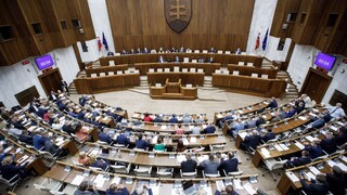 Zverejnili, kedy bude mimoriadna schôdza NR SR k plánu obnovy