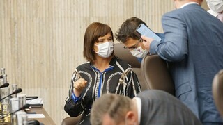 Získame stámilióny? Remišová predstavila plán na zmiernenie krízy