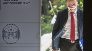 Mobing v SŠHR? Nesadli sme si, bráni sa Rudolf po kritike Šubovej