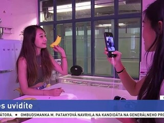 Do Hongkongu sa vracajú delfíny / Kreatívne koláče pútajú pozornosť