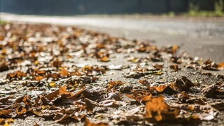 Zažili sme rekordne teplú noc. Dlho nám to však nevydrží