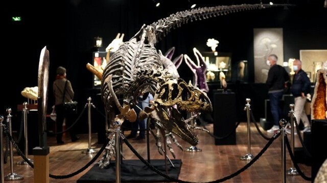 france-dinosaur-auction-39051-8c374063a7074e0c8a7f1a54baf94c77_0a140370-2c41-9f1f.jpg