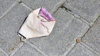 Kurz sa obáva českého scenára, Rakúsko by to položilo