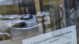 Pomoc podnikom mohla prísť skôr, tvrdí združenie slovenských firiem