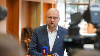 Na krízovom štábe sa črtá dohoda, prezradil Sulík v parlamente