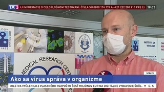 Virológ SAV B. Klempa o koronavíruse v ľudskom organizme