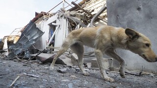 Konflikt sa môže stupňovať, Rusko žiadajú o pomoc s Karabachom