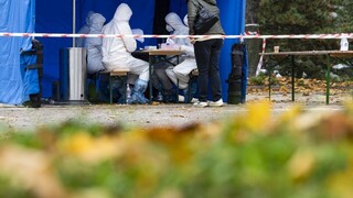 Testovanie malo podľa vedcov význam, neodhalilo však všetkých