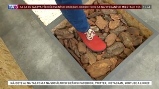 Barefoot alebo bosá noha. Novinka v obuvníckom priemysle