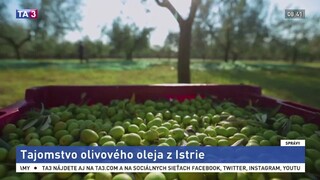 Kde vyrábajú najkvalitnejší olivový olej? Španielsko to už nie je