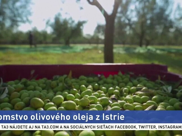Kde vyrábajú najkvalitnejší olivový olej? Španielsko to už nie je