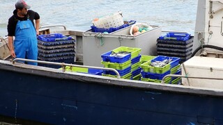 Rybolov medzi európskymi a britskými vodami sa zrejme dočká kompromisu
