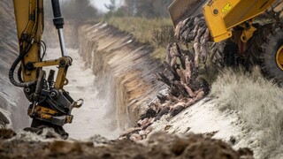 Pre zmutovaný koronavírus zabili milióny zvierat. Minister končí