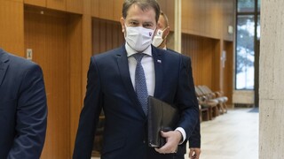 Do Vianoc chceme dostať denné počty prípadov pod hranicu 500