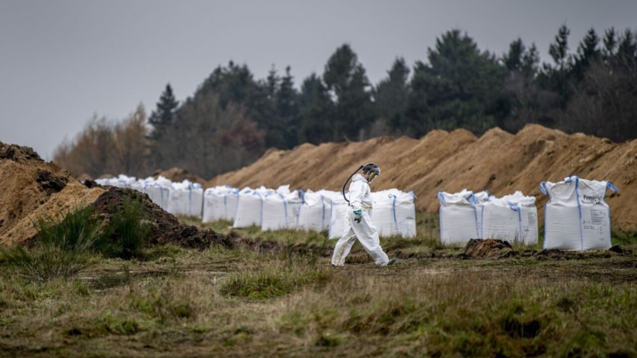 Zmutovaný koronavírus strašil svet. Dáni ho možno porazili