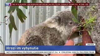 Hrozí im vyhynutie / Koronakríza ničí gastrobiznis