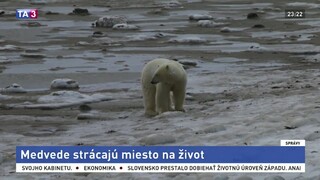 Vyvíjajú technológie, ktoré môžu ochrániť ľadové medvede