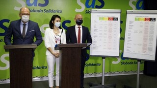 Jasné pravidlá, regionálny prístup. Sulík ukázal plán proti nákaze
