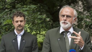 Mičovský odvolal generálneho riaditeľa štátnych lesov Vigodu