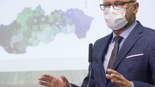 Sulík stopol nákup antigénových testov. Žiada zmeniť zadanie