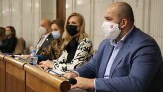 Návrh na vládnu a parlamentnú kontrolu prokuratúry vyvolal kritiku