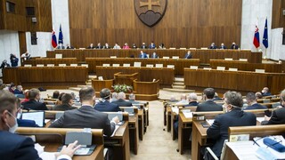 Schválili pandemický rozpočet pravdy, záchrany a zodpovednosti