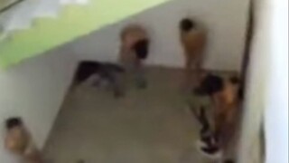 Šikanu chlapcov ukazovalo video, policajtov definitívne oslobodili