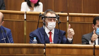 Mikulec ku kauze Kollára: Energia by sa mala venovať boju s pandémiou
