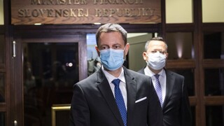 Ďalšie vlády kľaknú, kritizoval Kamenický Hegerov rozpočet