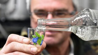 Nerobte si zásoby alkoholu. Počas pandémie je to veľké riziko