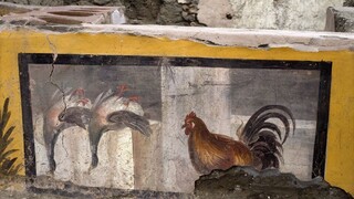 Pompeje odhalili stánok s rýchlym občerstvením. Ponúkal mäso