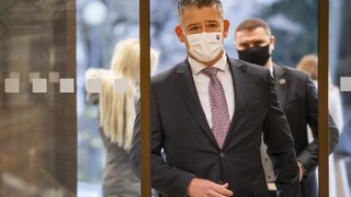 Štátna karanténa i repatriácia. Prioritou rezortu vnútra bol vírus