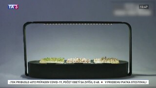 Radi sadíte? Vďaka domácej záhradke nemusíte čakať do jari