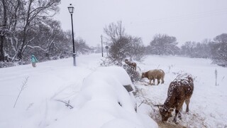 Španielsko čelí snehovej búrke, najmenej štyria ľudia prišli o život