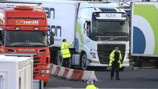 Mutácia zhoršila situáciu v Írsku, pred vstupom je potrebný test