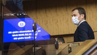 Vláda rozhodovala o celoplošnom testovaní, oznámi podrobnosti