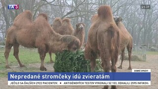 Dobré správy z 15. januára