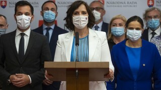 Plošné testovanie nepodporia, strana Za ľudí chce riešiť ohniská