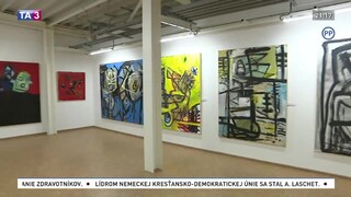 Novák sa snaží hľadať slobodu vo výtvarnom umení