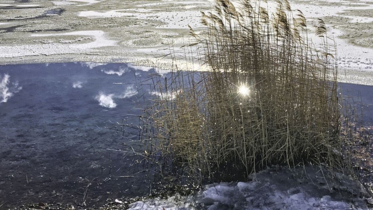 Čoskoro sa oteplí. Pre topiaci sa sneh môžu stúpnuť hladiny riek