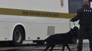 Nakazili sa aj tisícky väzňov a dozorcov. Začali testovať vo veľkom