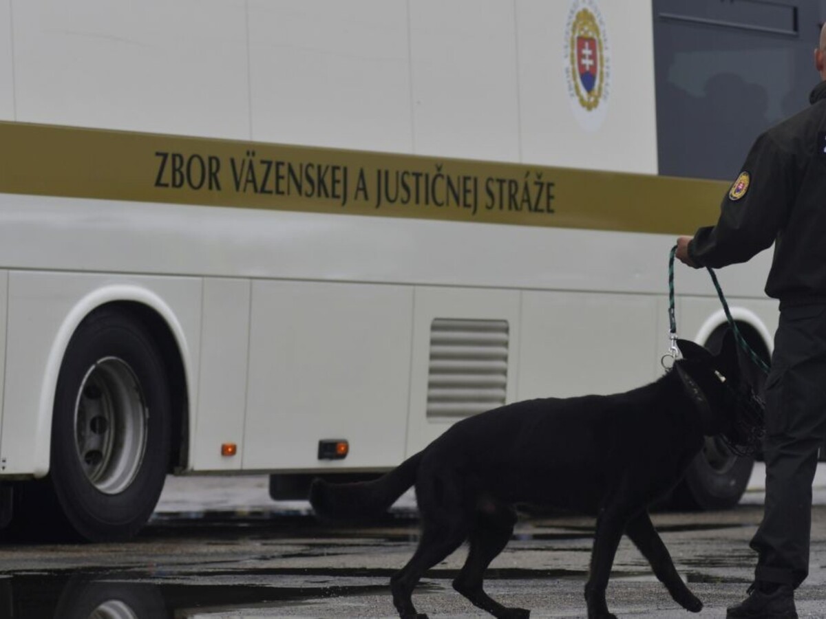 Nakazili sa aj tisícky väzňov a dozorcov. Začali testovať vo veľkom