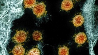 Johnson: Britská mutácia vírusu je zrejme omnoho smrteľnejšia