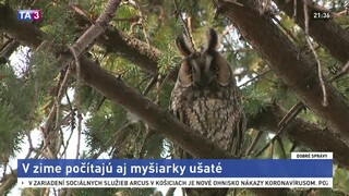 Dobré správy z 22. januára