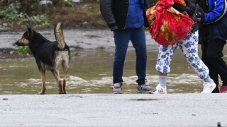 Ukrajinu sužujú dažde, zaplavilo aj rómsky tábor pri Slovensku